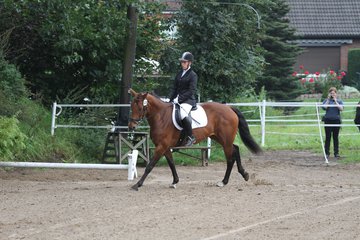Bild 3 - WBO-Turnier am 18.9.11
